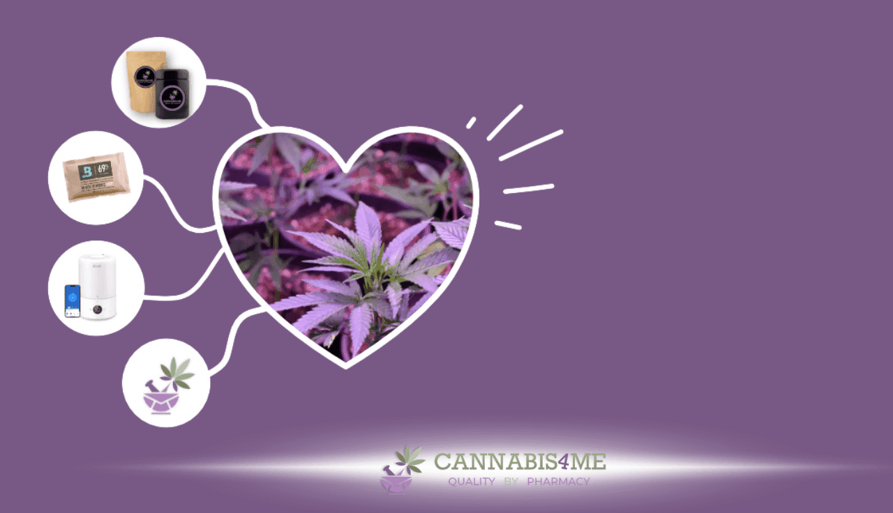 Mindmap mit einem Herz in der Mitte und Cannabispflanze und daneben die Produkte